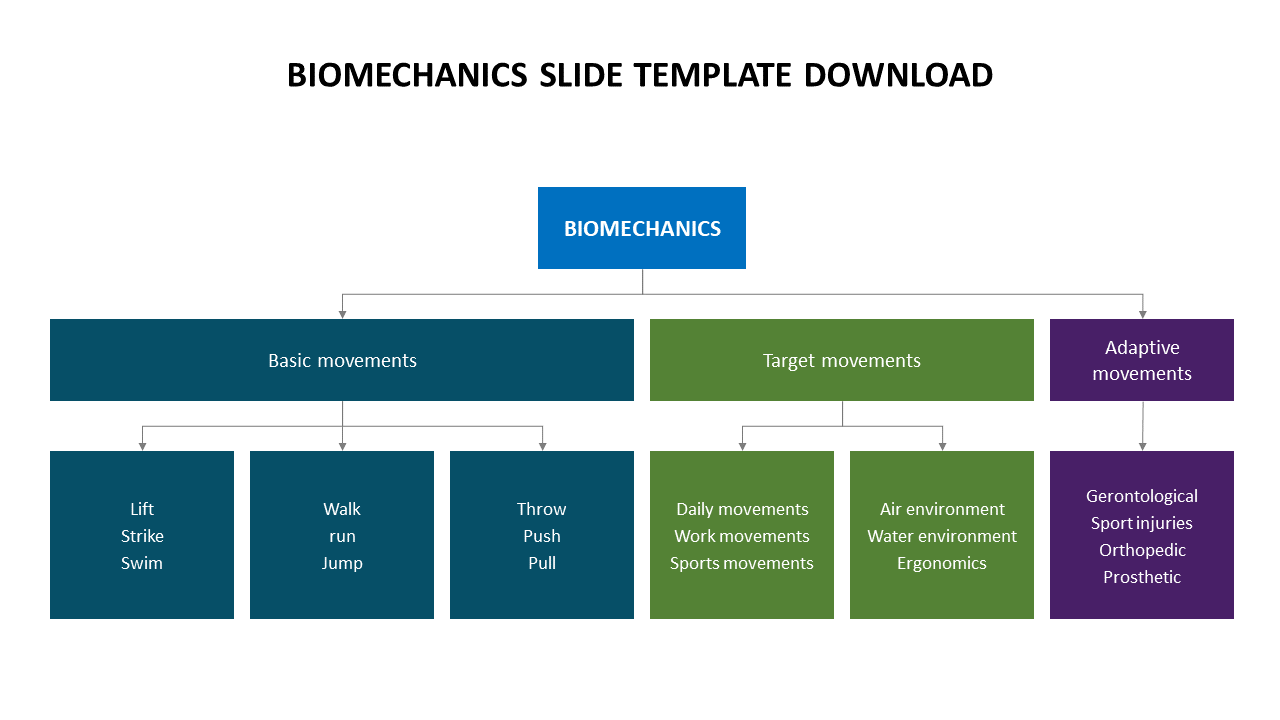 biomechanics slide template download hierarchy model